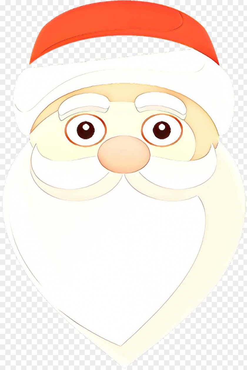 Santa Claus (M) Christmas Ornament Illustration Cartoon PNG