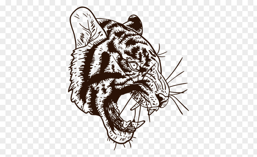 Tiger Lion Cat Whiskers Vector Graphics PNG