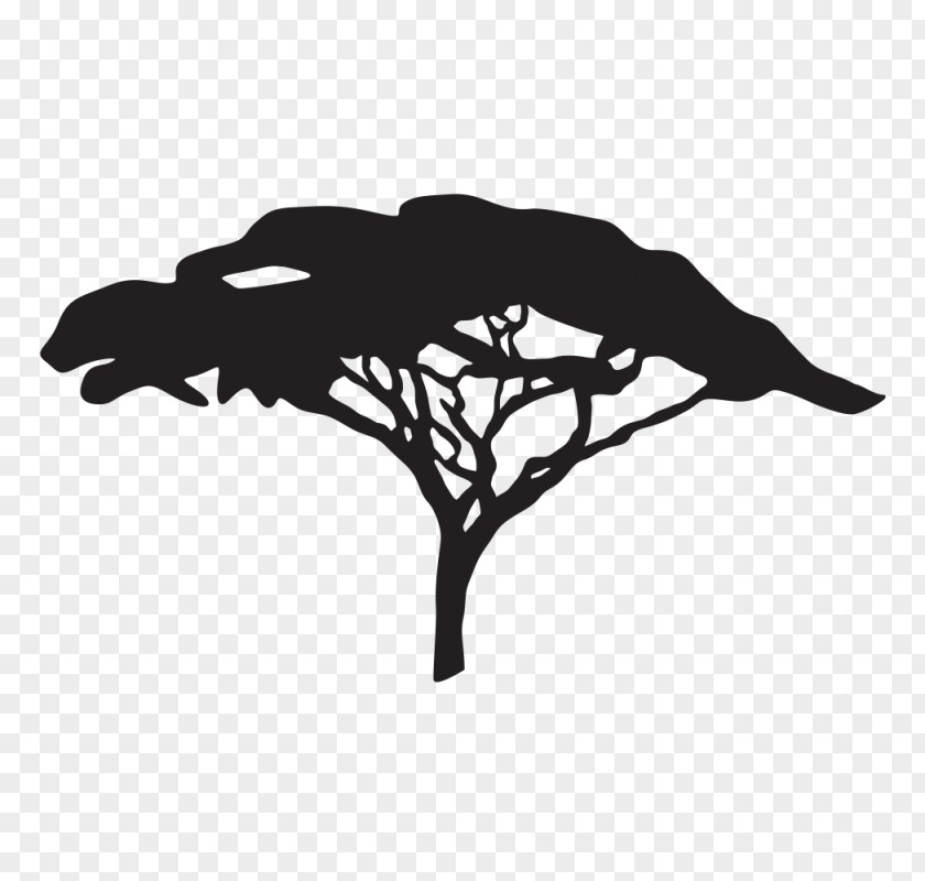 Tree Branch Sticker Paper Room PNG