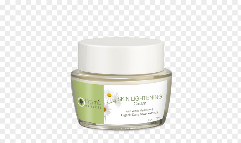 Whitening Skin Cream Lotion Sunscreen Care PNG