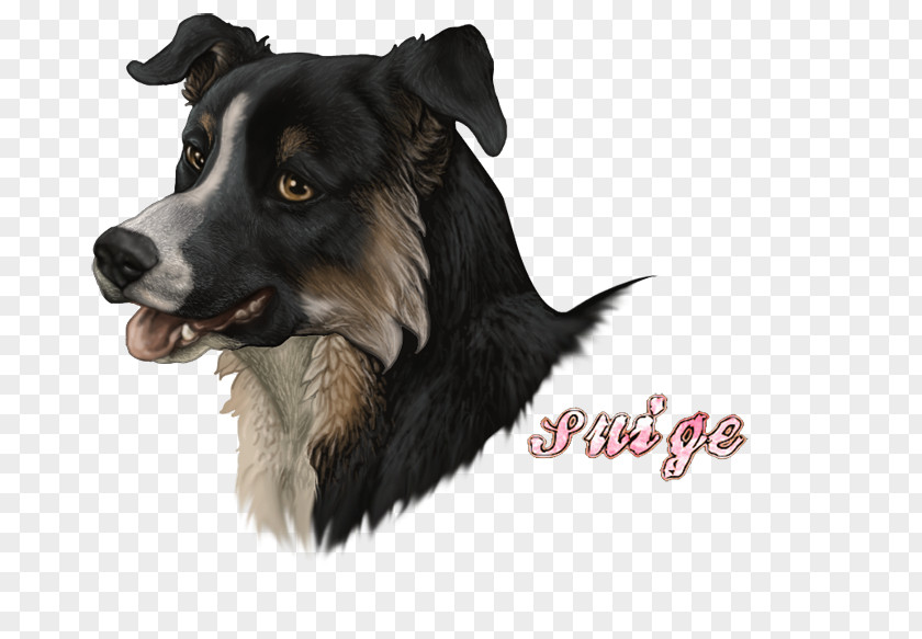 American Bully Border Collie Mix Dog Breed Rough Art Museum Companion PNG