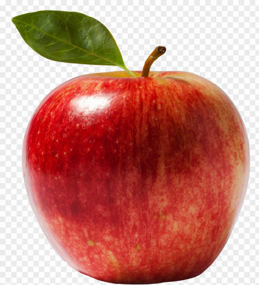 Apple Fruit IPhone PNG