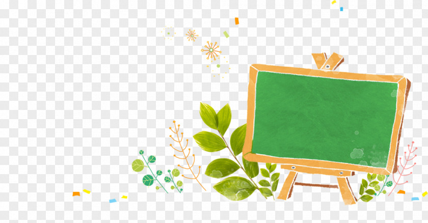 Green Chalkboard Cartoon Illustration PNG