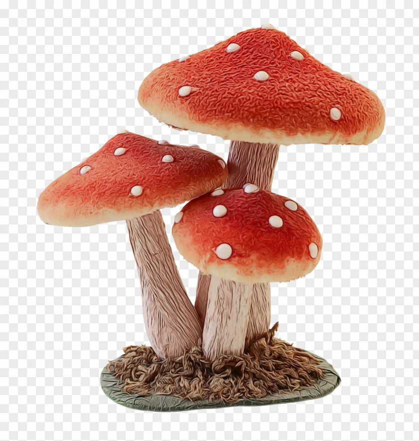 Mushroom PNG