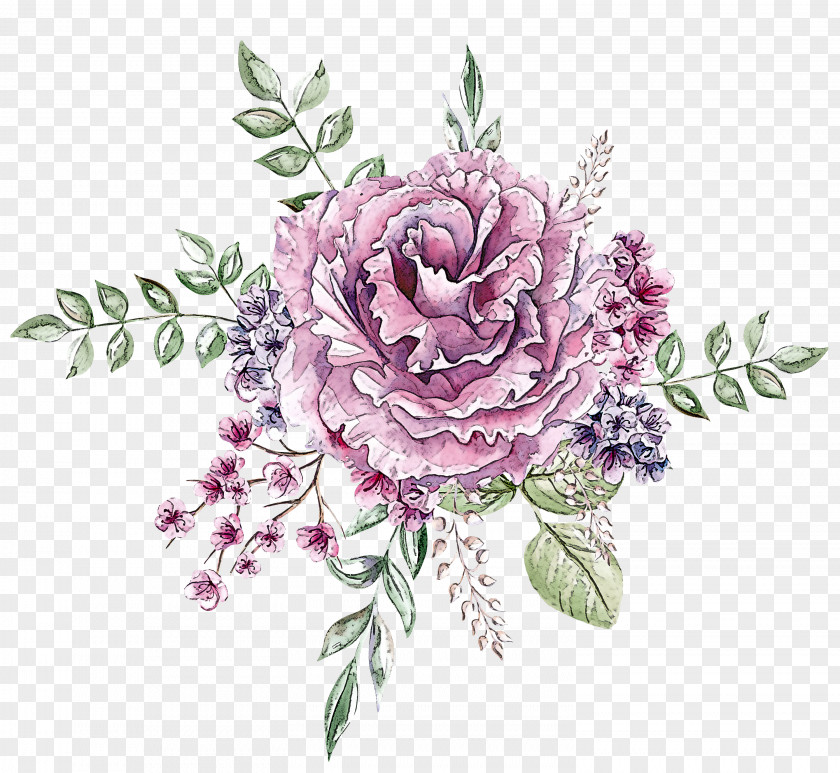 Rose Family Violet PNG