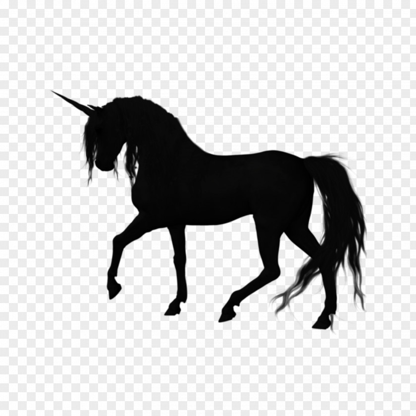 Unicorn Silhouette Vector American Quarter Horse Stallion Graphics Image PNG