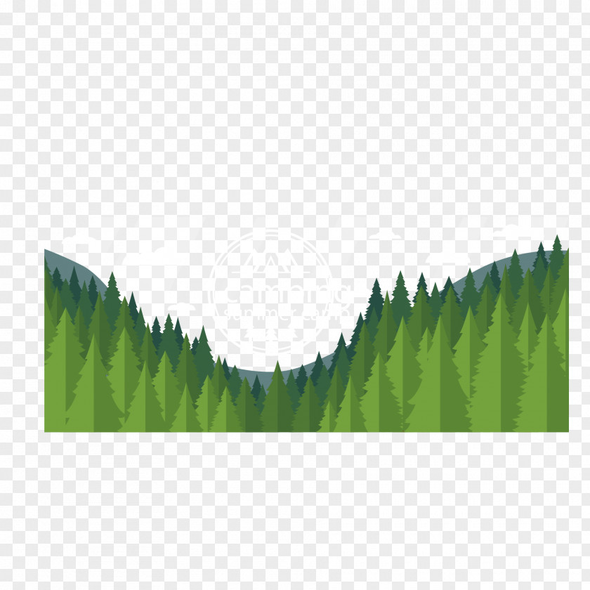 Vector Green Forest Euclidean PNG