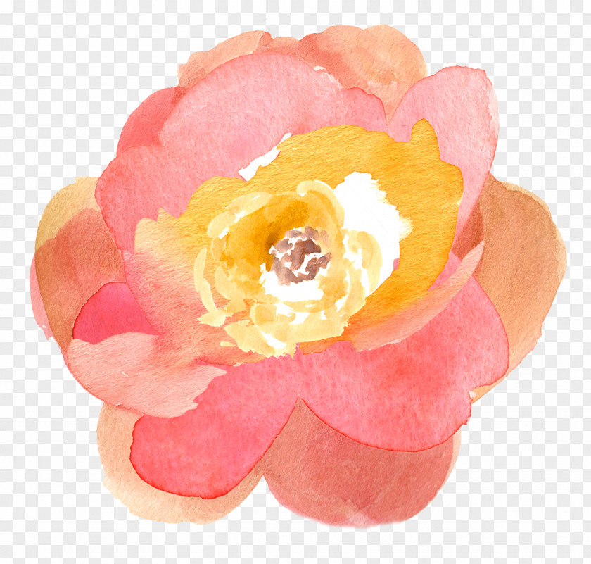 Watercolor Flower Painting Drawing Clip Art PNG