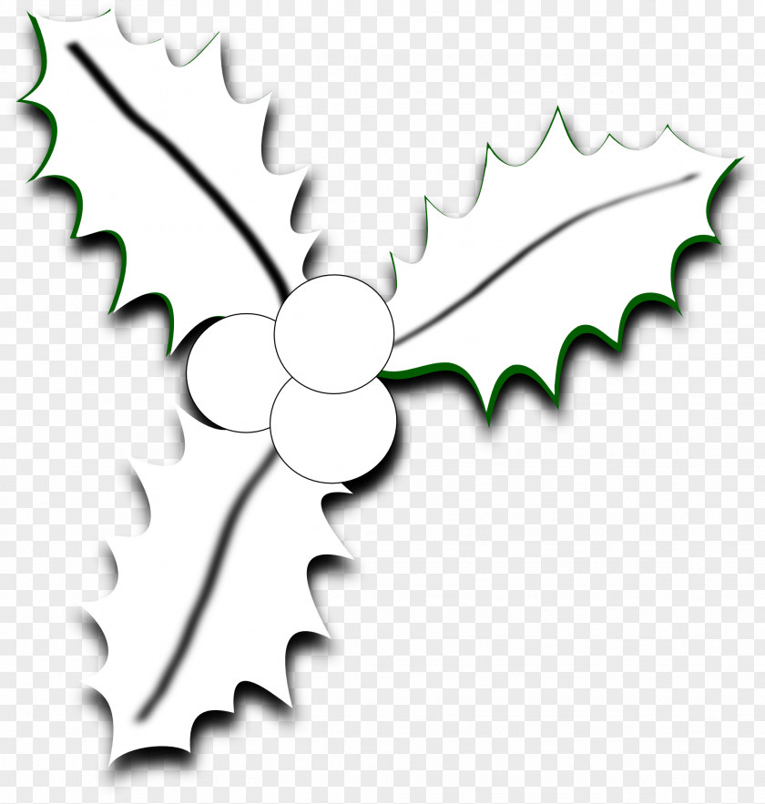 Christmas Common Holly Black And White Clip Art PNG