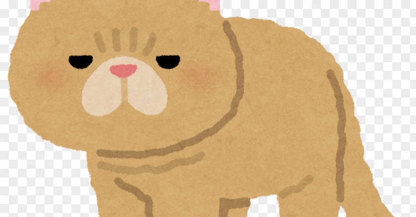 Exotic Shorthair Whiskers Illustration ペンギン・ハイウェイ Dog PNG