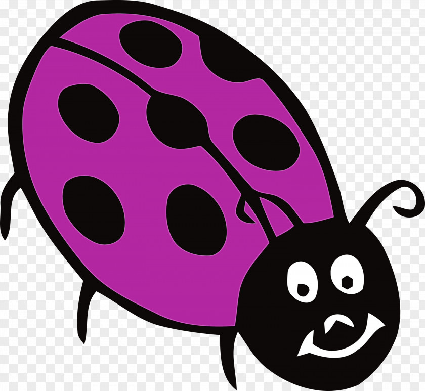 Insect Cartoon Snout Science Biology PNG