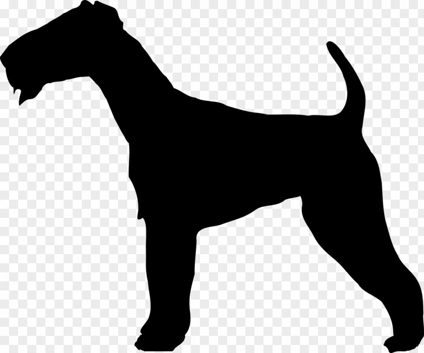 Puppy Soft-coated Wheaten Terrier Welsh Airedale Irish Australian PNG