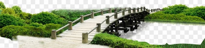 Bridge Puente De Madera Signal PNG