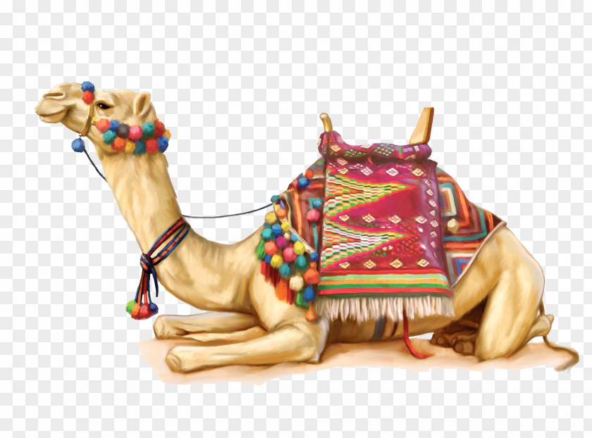 Camel 2 Pushkar Fair PNG