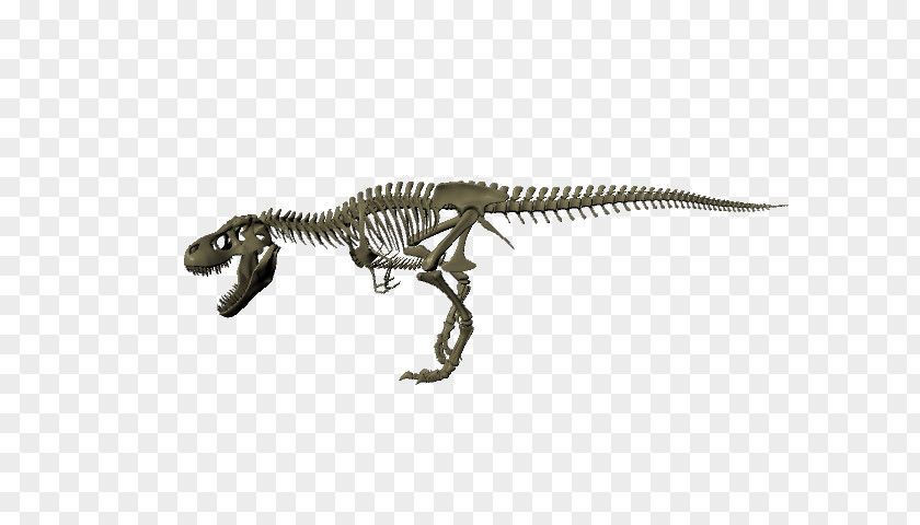 Dinosaur Skeleton Tyrannosaurus Ankylosaurus Jurassic Park: Operation Genesis 3D Modeling PNG