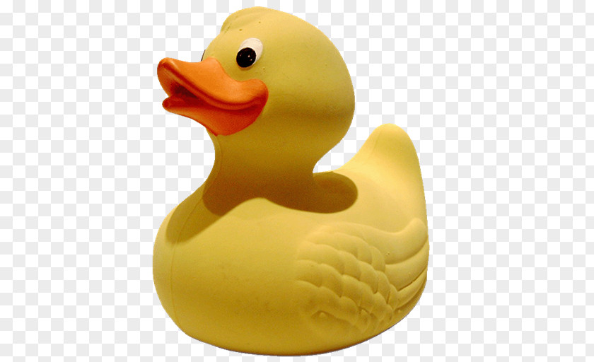 Duck Rubber Natural Synthetic Clip Art PNG