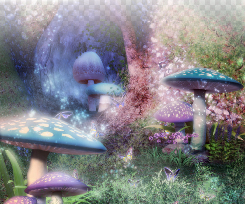 Mushroom Forest Photography Photographic Studio Fantasy PNG