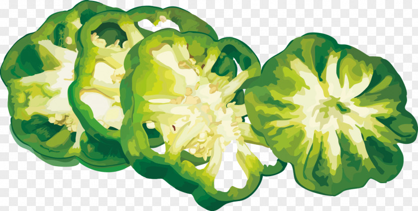 Ultra-realistic Pepper Bell Vegetable PNG