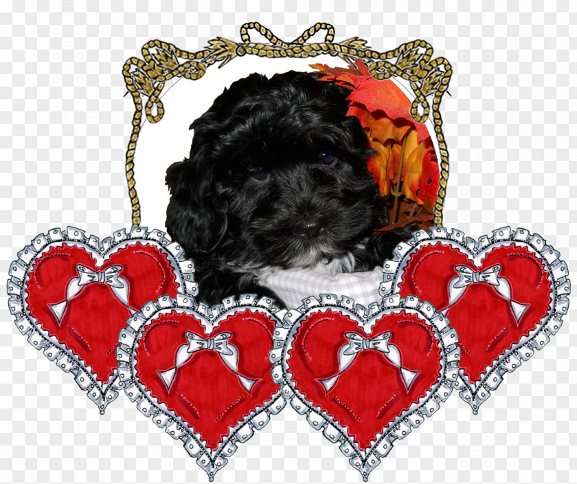 Valentines Poster Twiglet The Little Christmas Tree Heart Puppy Dog Paper PNG