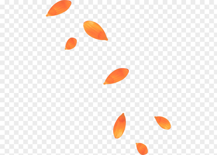 Red Leaf Composition Petal Yellow Orange PNG