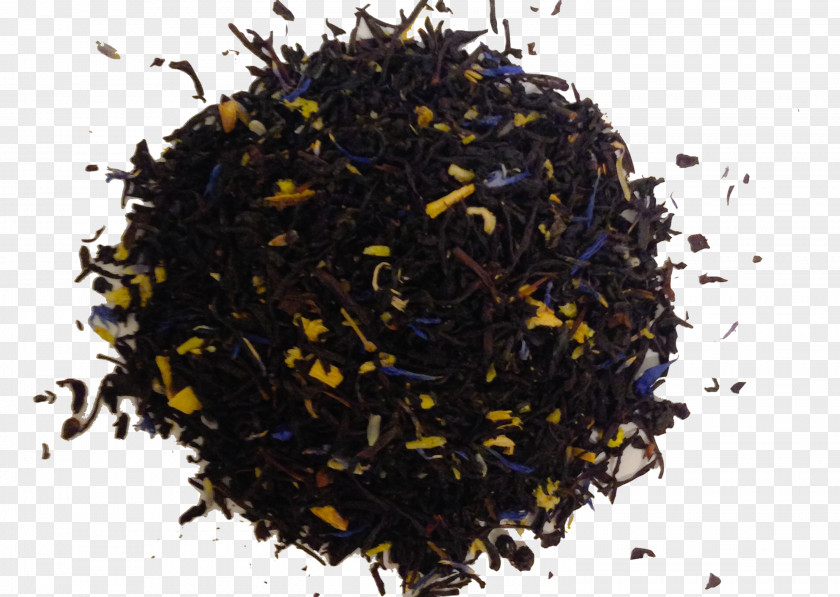 VIOLÃO Nilgiri Tea Dianhong Plant PNG