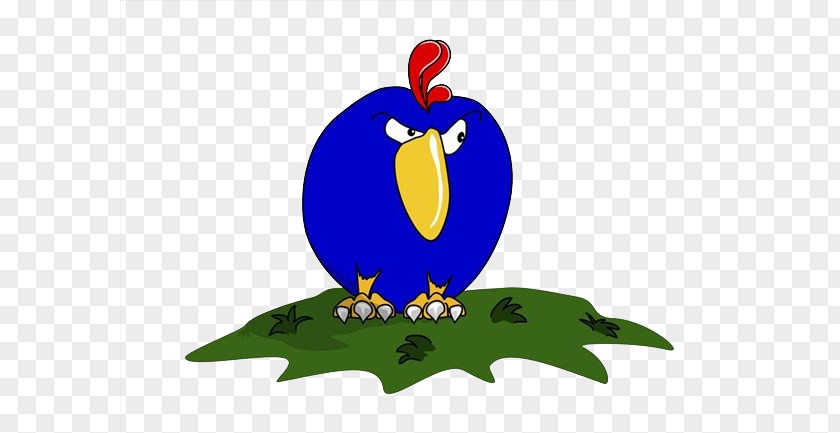 Cartoon Chick Chicken Rooster Clip Art PNG