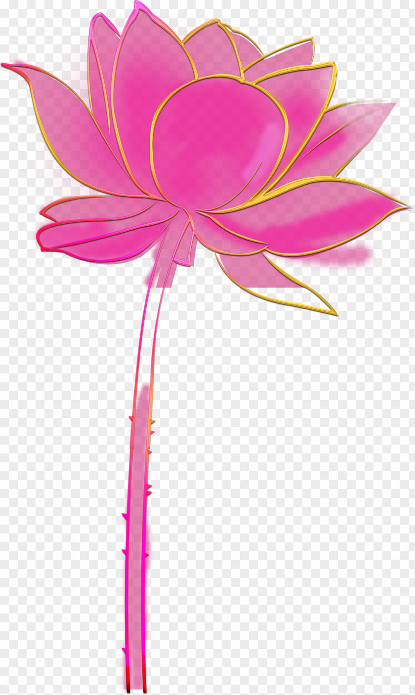 Hand-painted Lotus Flora Cut Flowers Plant Stem Petal PNG