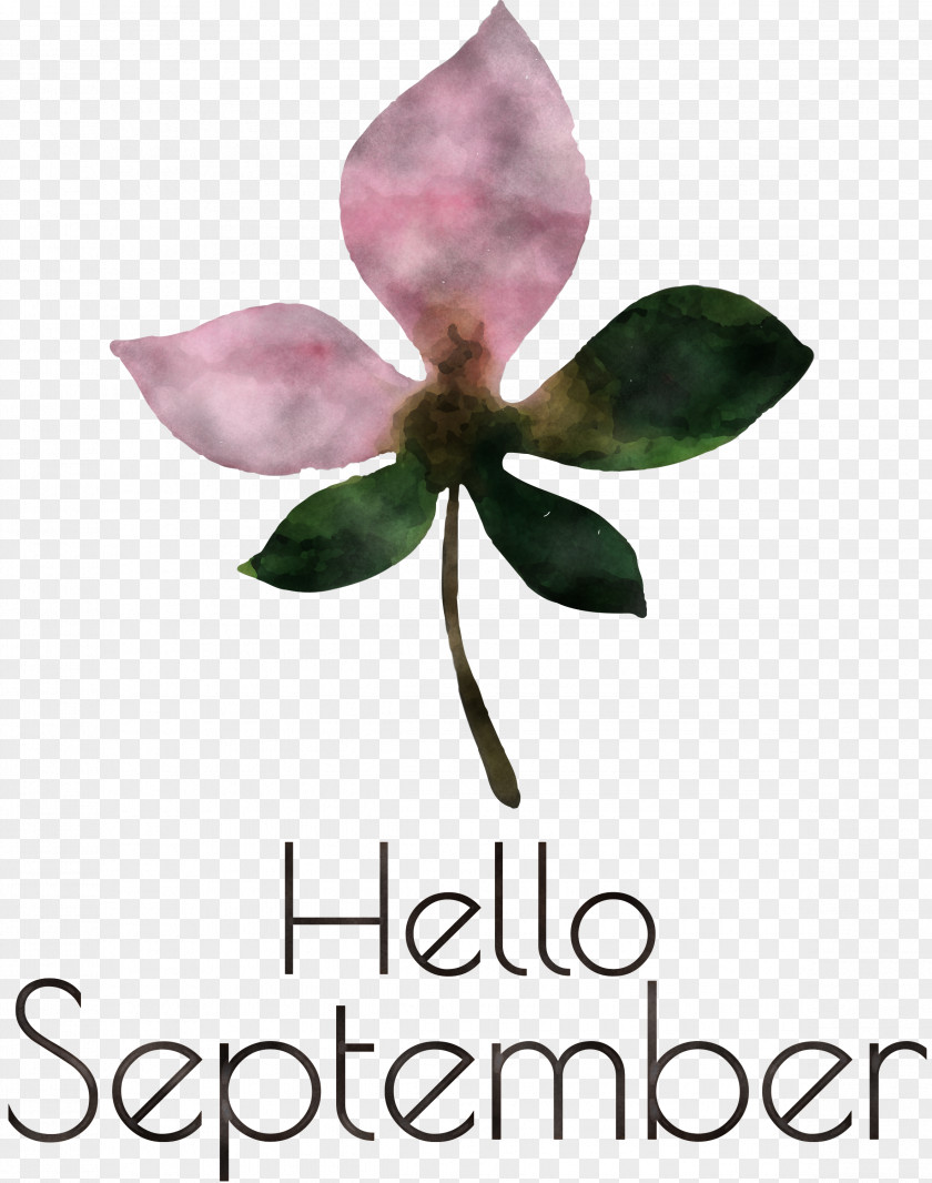 Hello September September PNG