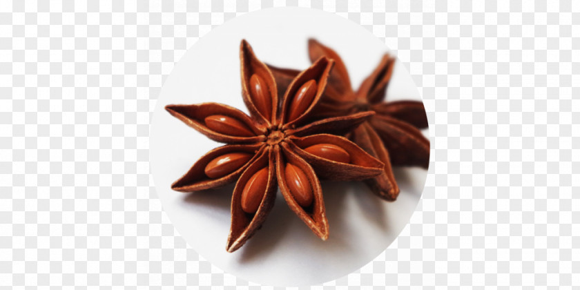 Masala Chai Star Anise Spice Thai Tea PNG