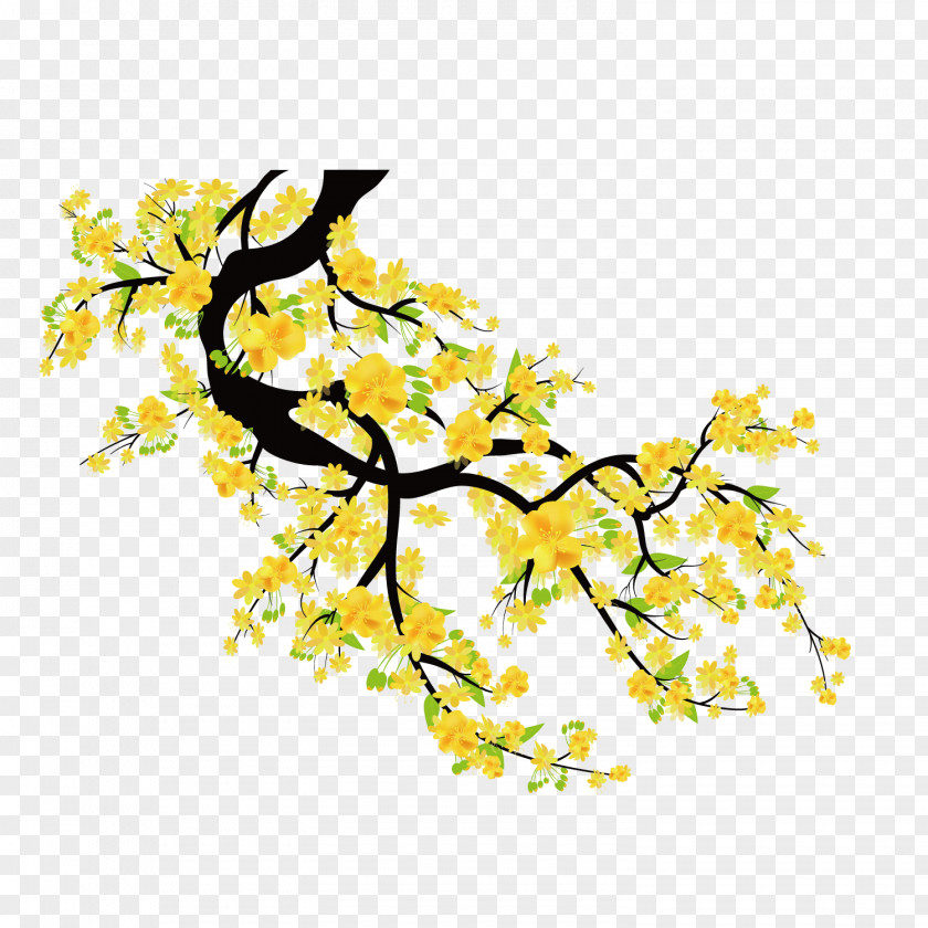 Vector Yellow Peach Decoration Plum Blossom Euclidean Cherry PNG