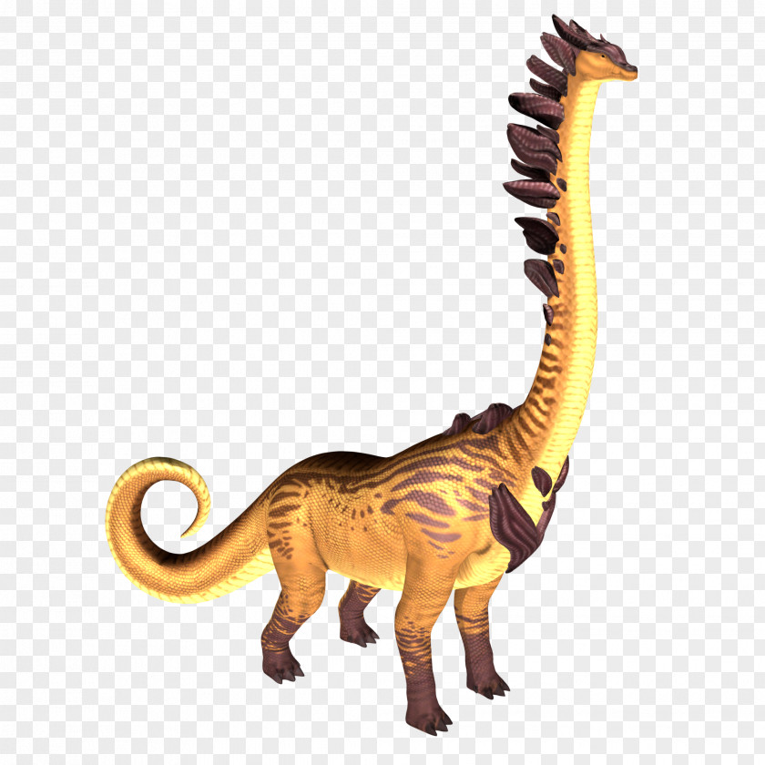 Cat Velociraptor Extinction Terrestrial Animal PNG