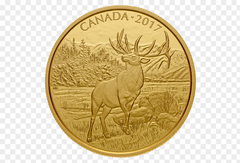 Coin Bullion Gold Canada Royal Canadian Mint PNG