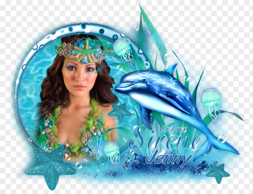 Dolphin Clip Art PNG