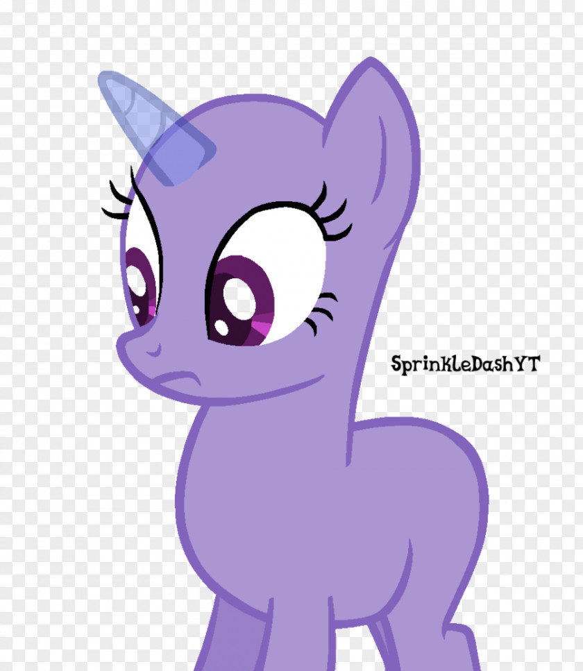 Horse Pony Whiskers Unicorn Cat PNG