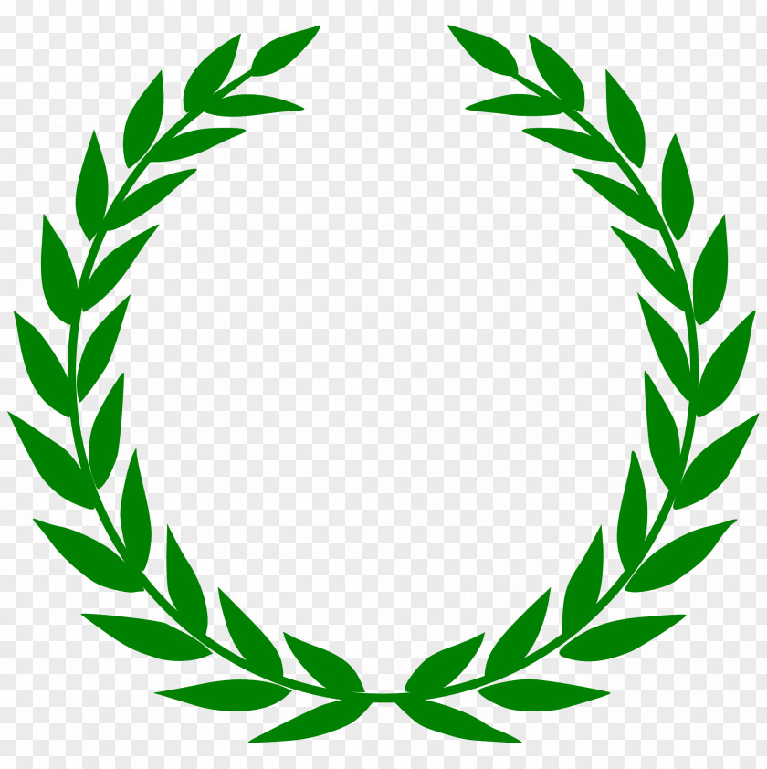 Olives T-shirt Laurel Wreath Bay PNG