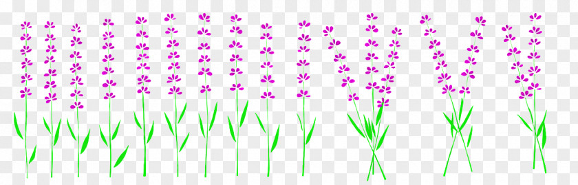 Shower Toto Plant Stem Violet Leaf PNG