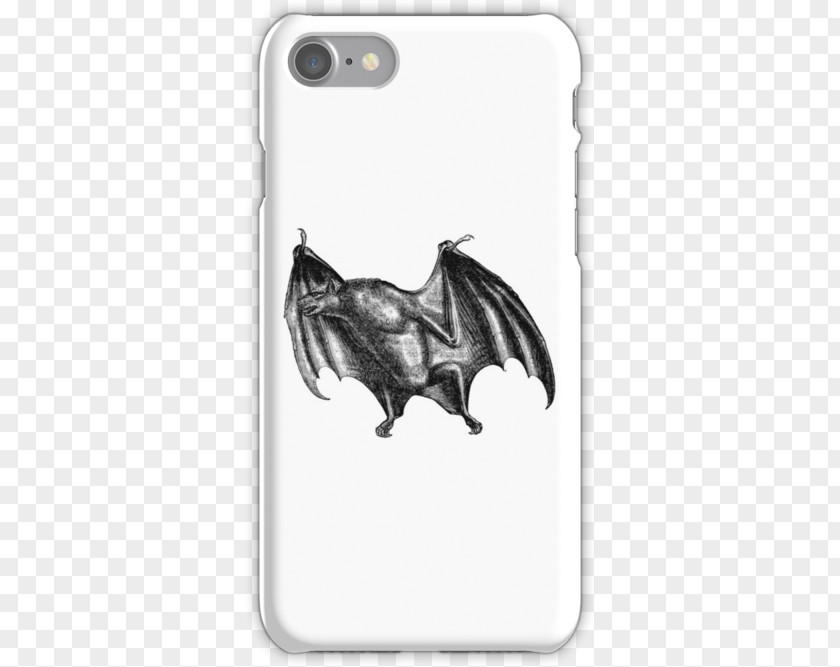 Vampire Bat Black And White Desktop Wallpaper Image Drawing Photograph Dunder Mifflin PNG