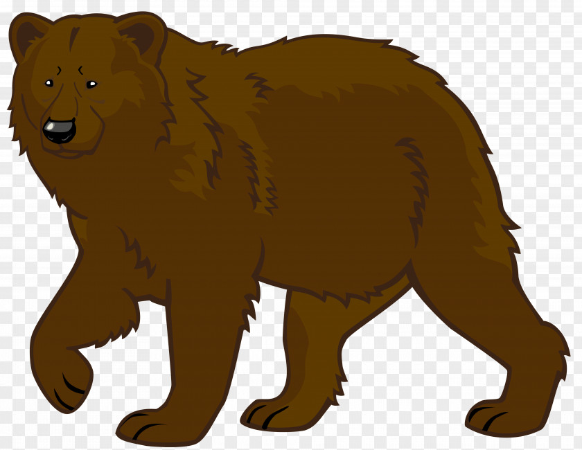 Bear American Black Brown Polar Clip Art PNG