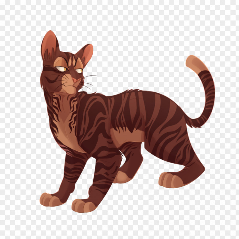 Cat Whiskers Tabby Paw Tail PNG