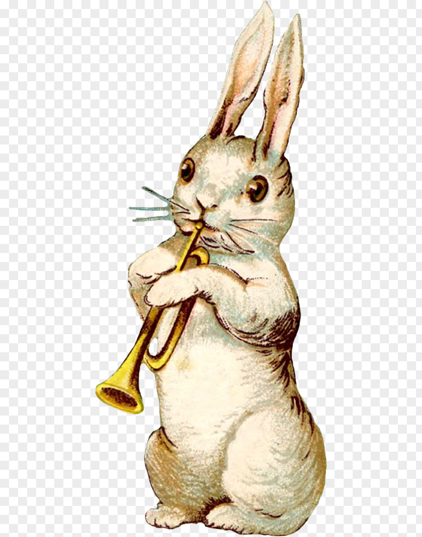 Easter Domestic Rabbit Bunny Postcard PNG