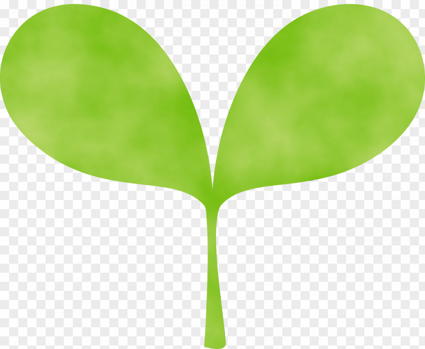 Green Leaf Plant Tree Stem PNG