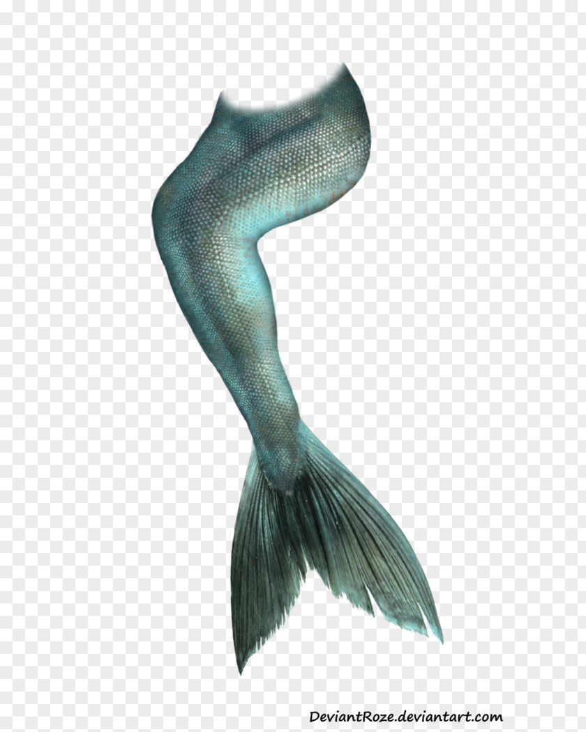 Marine Fish Tail Mermaid Clip Art PNG