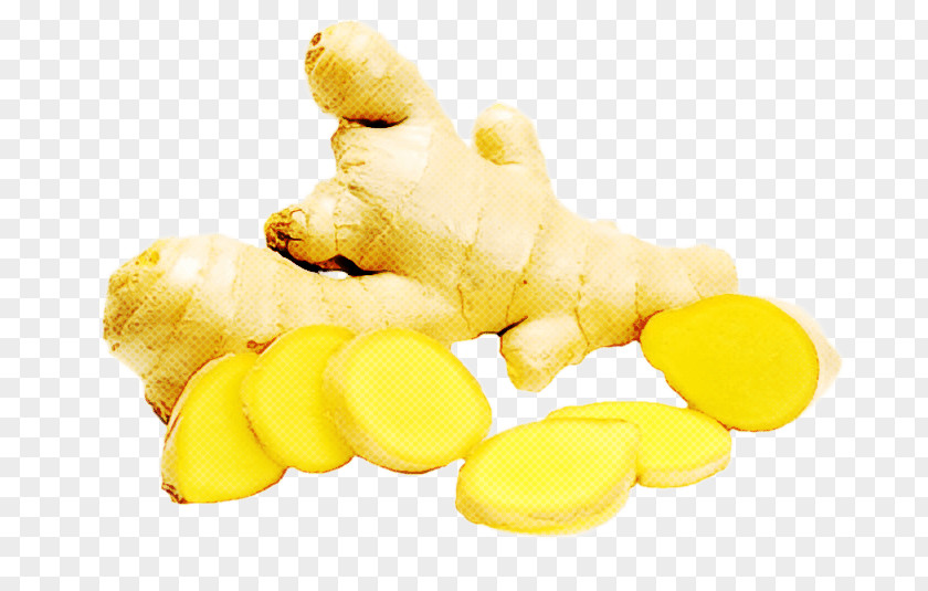 Perennial Plant Cuisine Ginger Yellow Food Zingiber Animal Cracker PNG