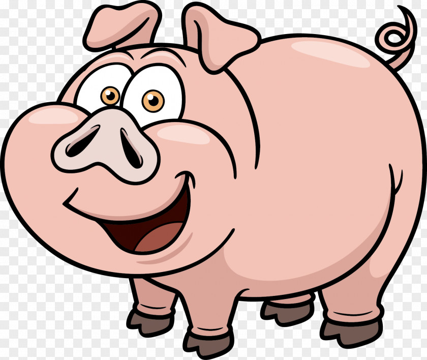 Pig Stock Photography Vector Graphics Royalty-free Illustration PNG