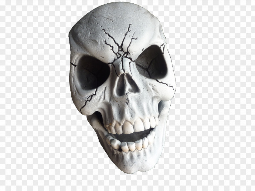Skeleton Skull Desktop Wallpaper PNG
