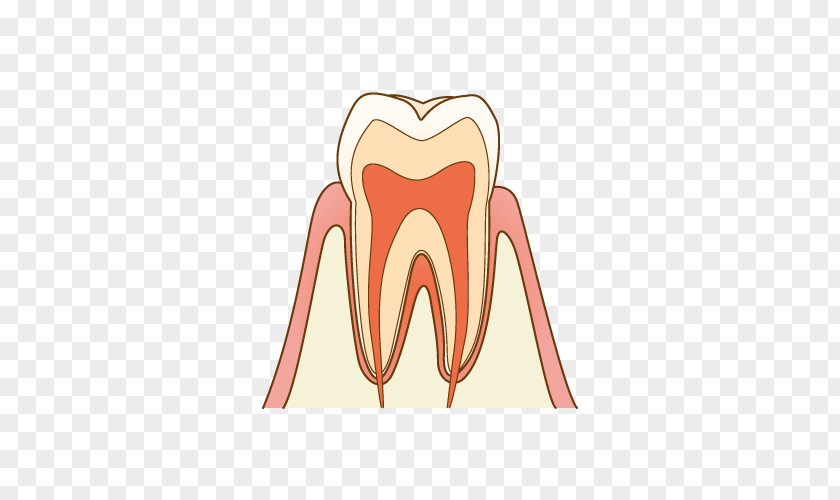 Tooth Floss Dentist Decay Therapy Root Canal Treatment PNG