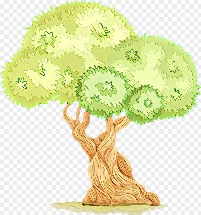 Grass Houseplant Tree Green Plant Woody Leaf PNG