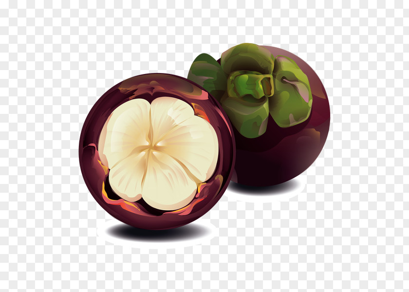 Mangosteen Purple Fruit Clip Art PNG