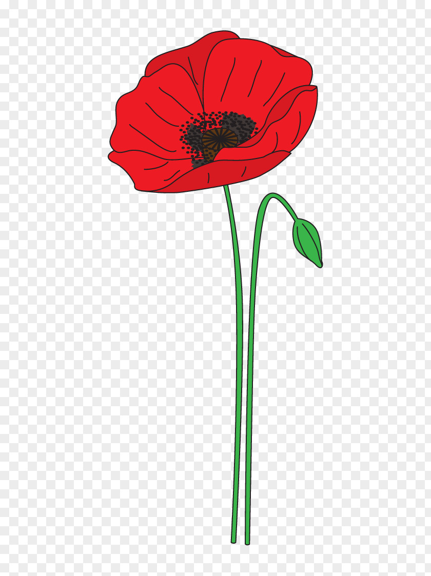 Poppy Remembrance Anzac Day Flower Clip Art PNG