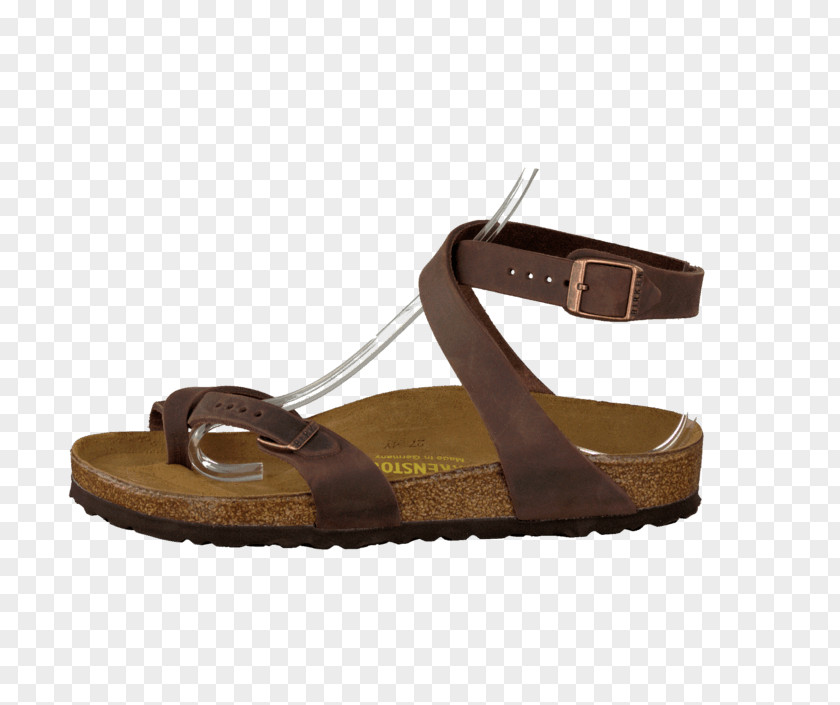 Sandal Slide Shoe PNG